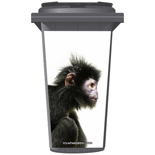 Small Monkey With Spiky Hair Wheelie Bin Sticker Panel Small Monkey With Spiky Hair Wheelie Bin Sticker Panel
